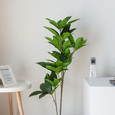 Myflat Club 218 Gold Ii Wellness Lägenhet